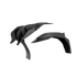 Leonx®X1 MAX Fender Kit