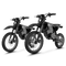 Leonx® Ebike Combo Sale X1 Max*2