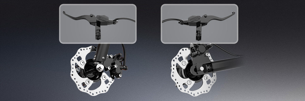 Dual-Piston Hydraulic Brakes